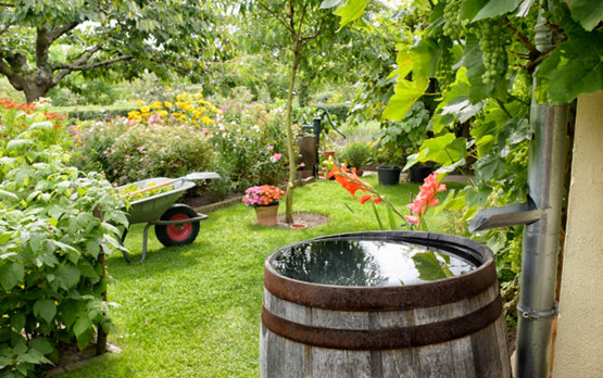 5 Garden Design Ideas For Your Outdoor Space – MyHomesGardens