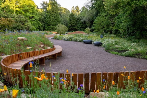 The Return of the “Wild Garden” — Why Imperfection Is the New Beauty