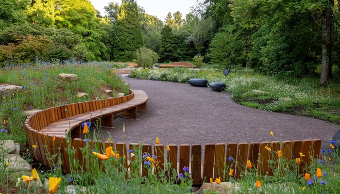 The Return of the “Wild Garden” — Why Imperfection Is the New Beauty